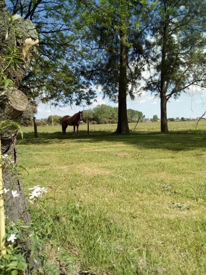 Hotel El Triunfo De Areco Сан-Антоніо-де-Ареко Екстер'єр фото